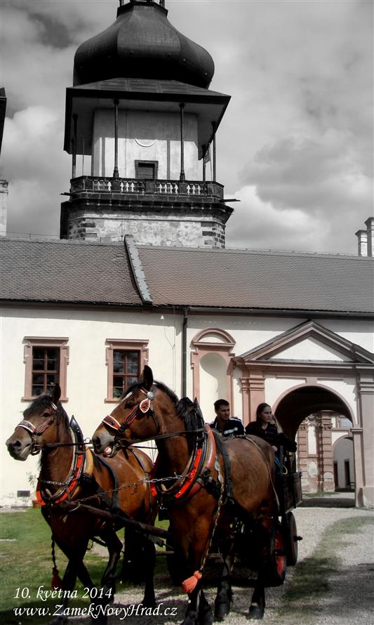 knížecí družina (Vít Pávek, 10.5. 2014)