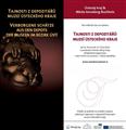 výstava - Tajnosti z depozitářů muzeí Ústeckého kraje