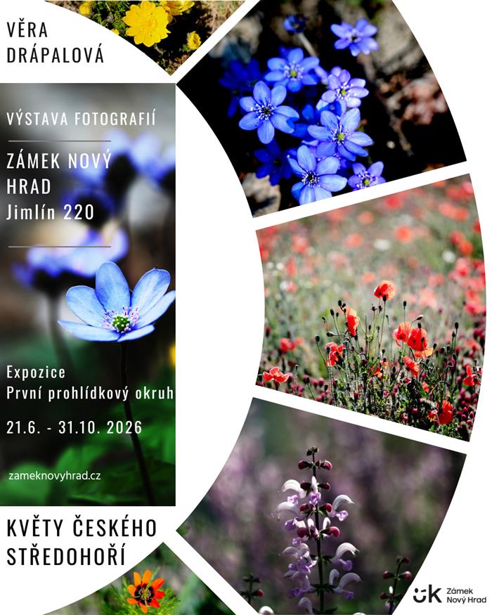 Květy Českého středohoří