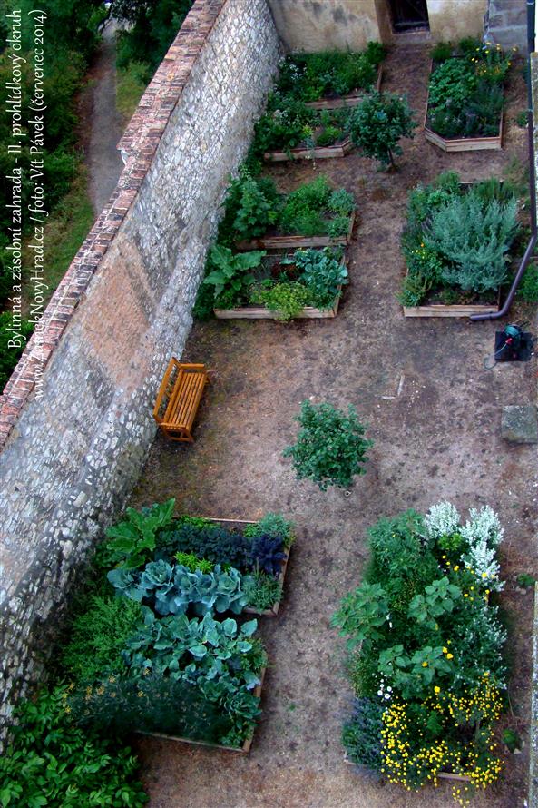 Bylinná zahrada po 4 měsících své existence (foto: Vít Pávek)